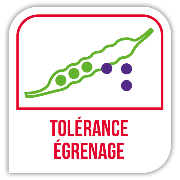 Tolérance égrenage